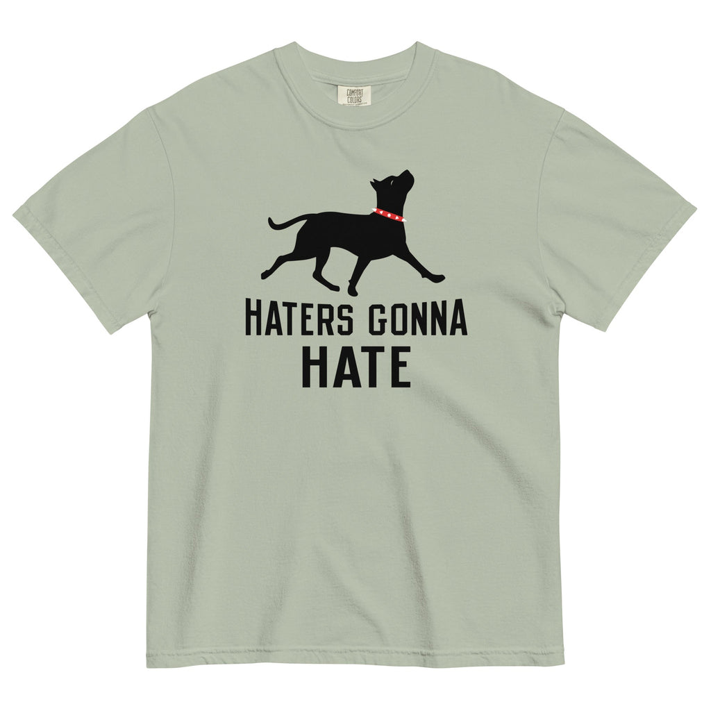 Haters Gonna Hate Pit Men's Relaxed Fit Tee product image 4