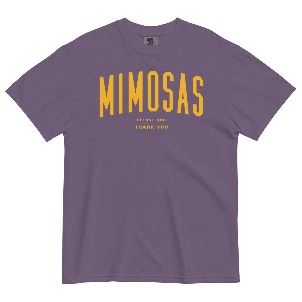 Mimosas Please And Thank You Men's Relaxed Fit Tee product image 5