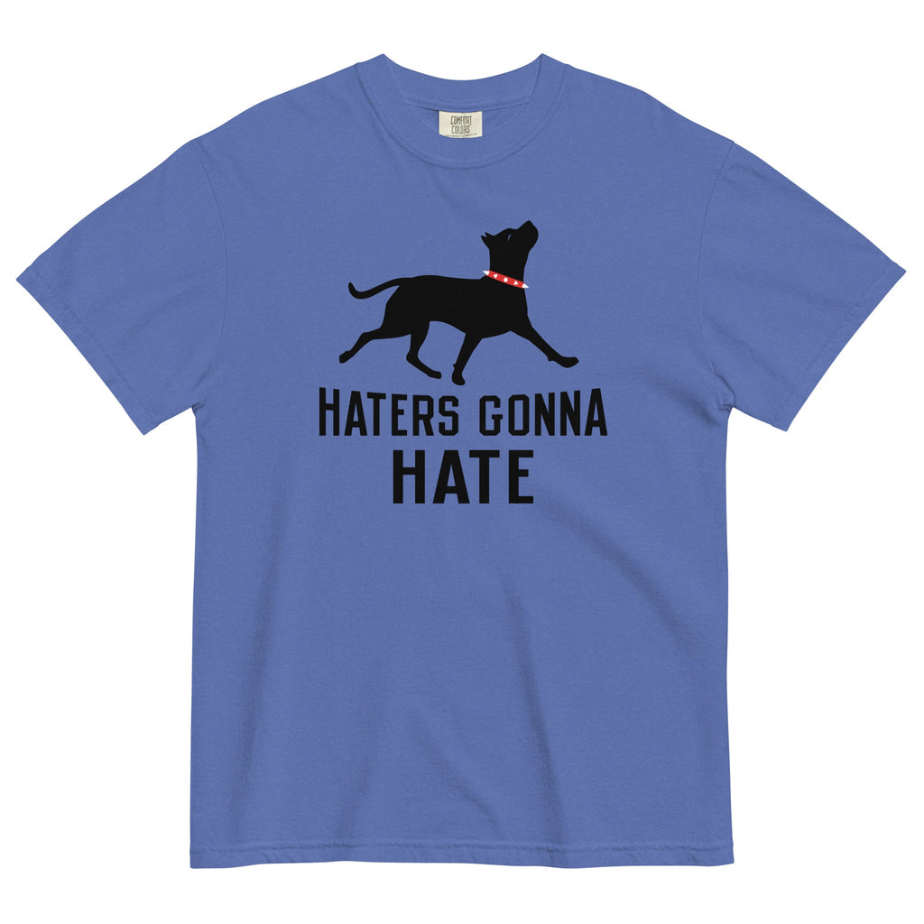 Haters Gonna Hate Pit Men's Relaxed Fit Tee product image 3