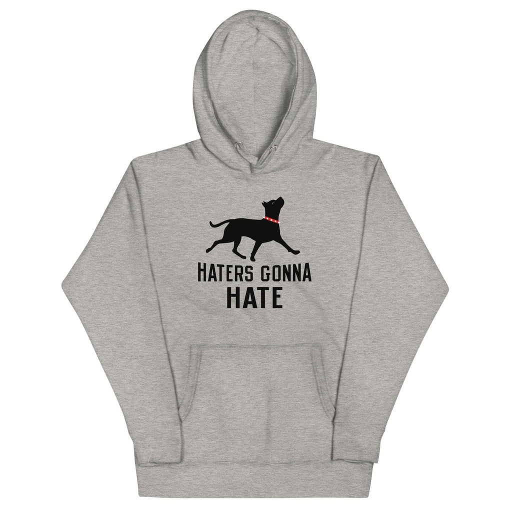 Haters Gonna Hate Pit Unisex Hoodie product image 1