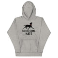 Haters Gonna Hate Pit Unisex Hoodie product image 1