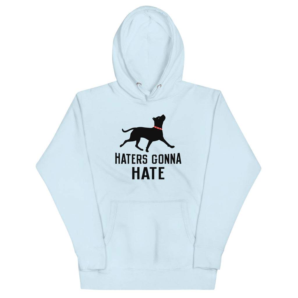 Haters Gonna Hate Pit Unisex Hoodie product image 4