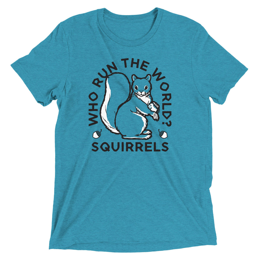 Who Run The World? Squirrels Men's Tri-Blend Tee product image 5