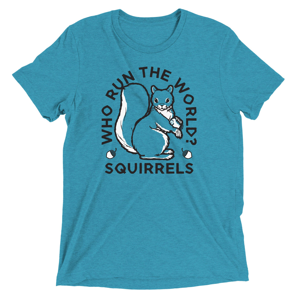 Who Run The World? Squirrels Men's Tri-Blend Tee product image 5
