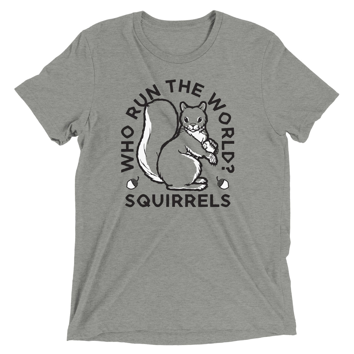 Who Run The World? Squirrels Men's Tri-Blend Tee product image 1
