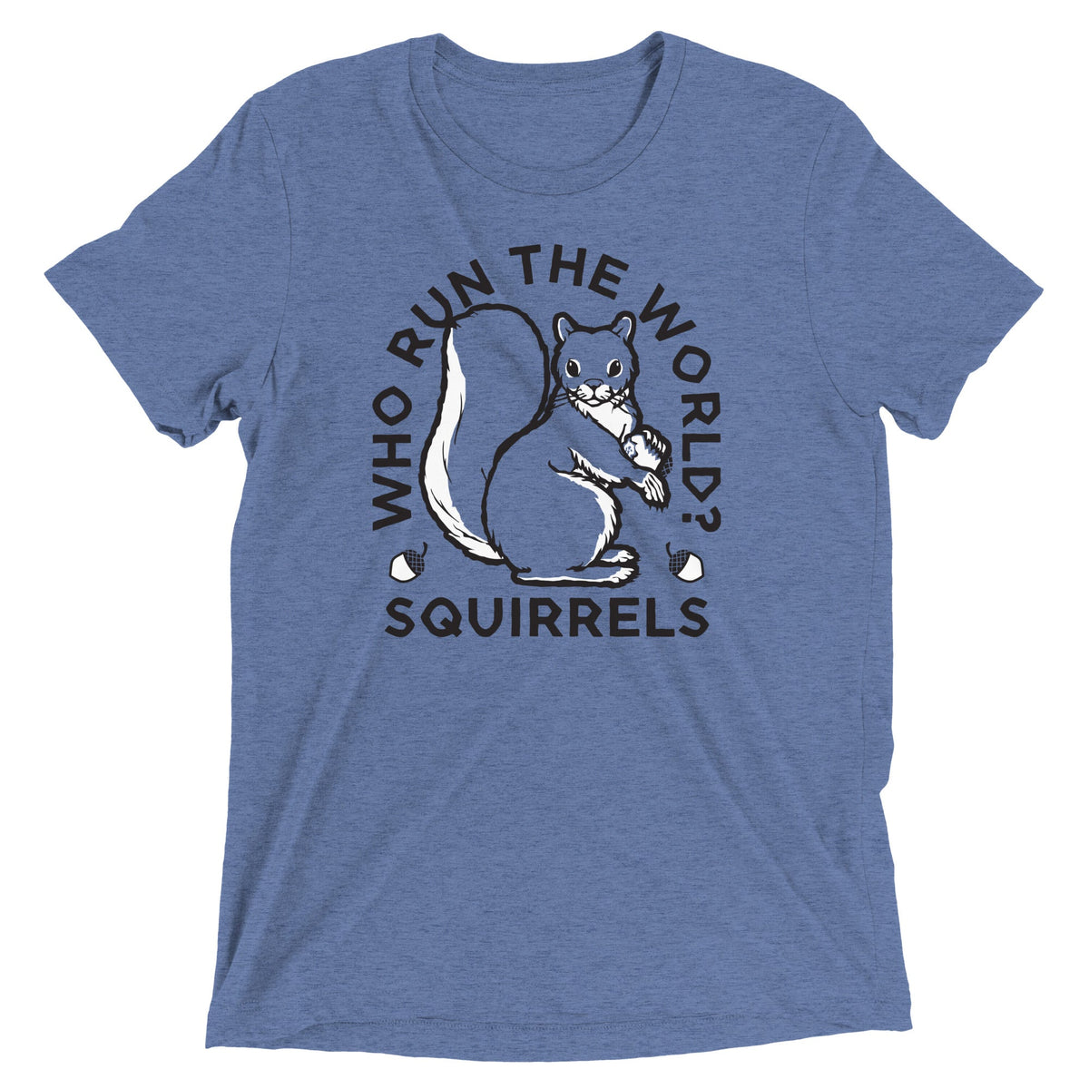 Who Run The World? Squirrels Men's Tri-Blend Tee product image 2