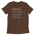 It's Funny Because True Men's Tri-Blend Tee product image 1