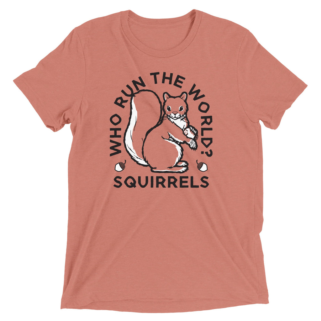 Who Run The World? Squirrels Men's Tri-Blend Tee product image 3