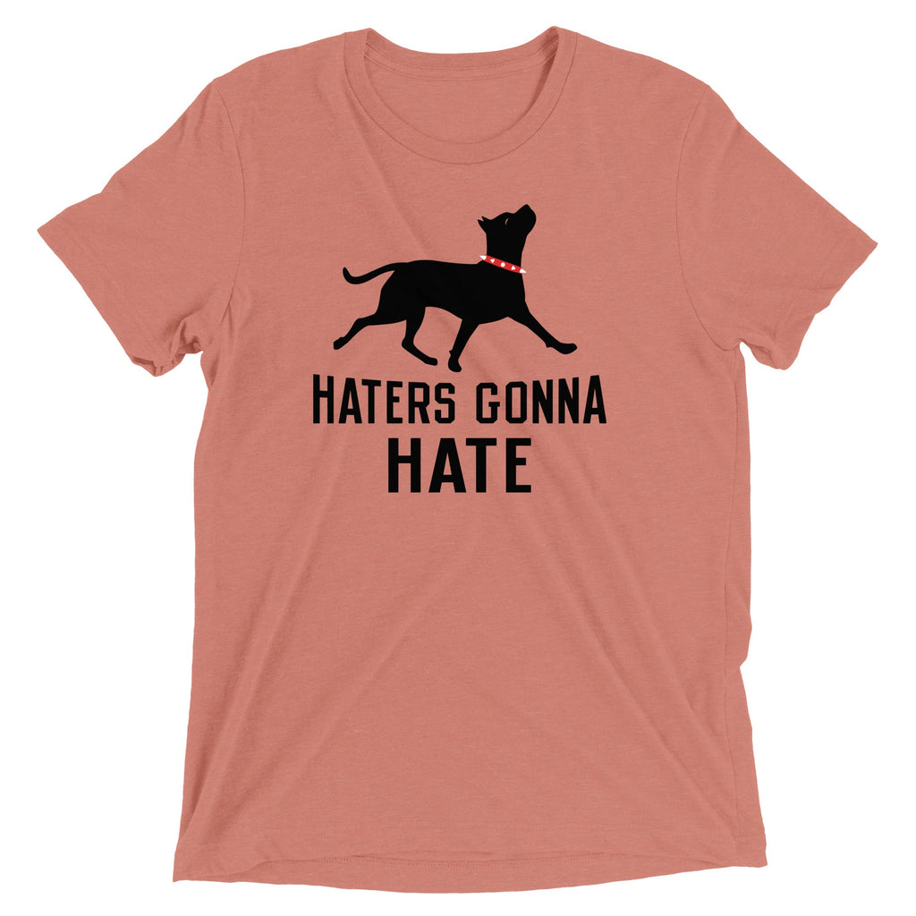 Haters Gonna Hate Pit Men's Tri-Blend Tee product image 4