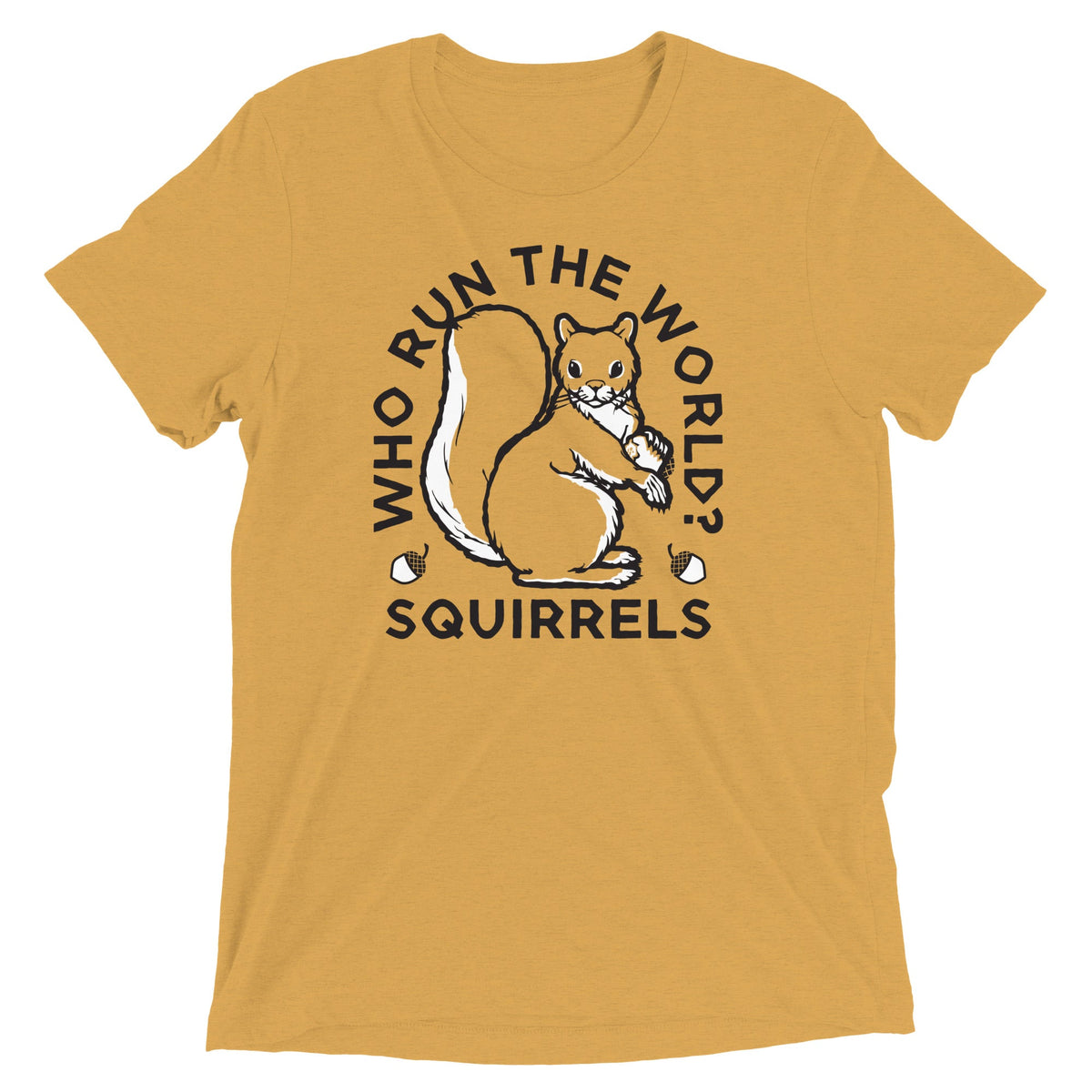 Who Run The World? Squirrels Men's Tri-Blend Tee product image 4