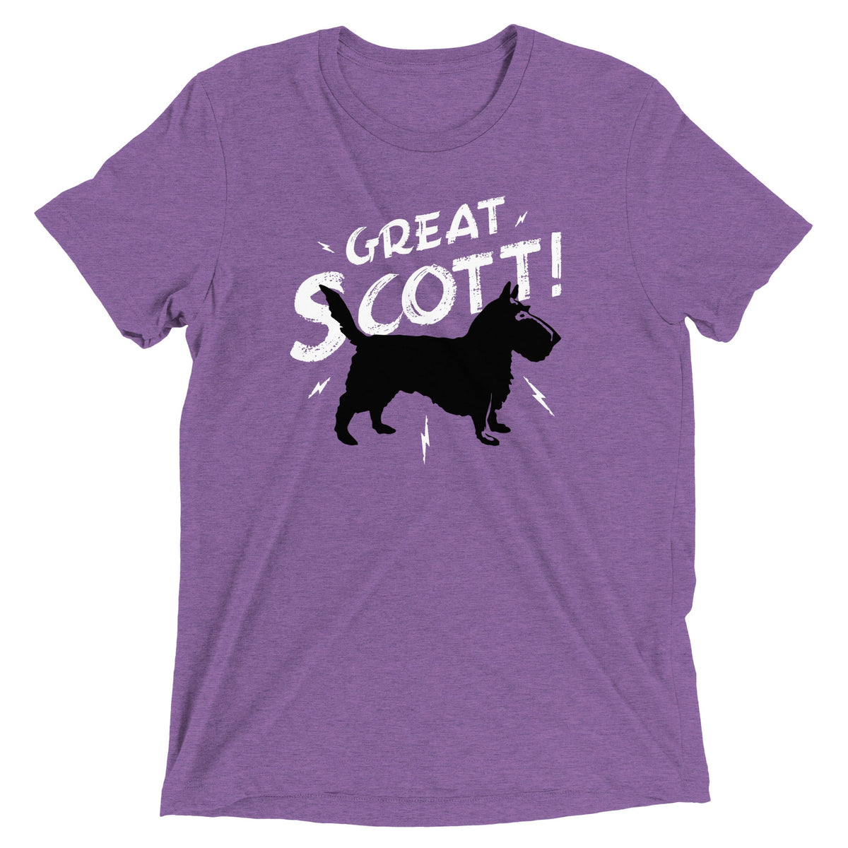 Great Scott! Men's Tri-Blend Tee product image 3