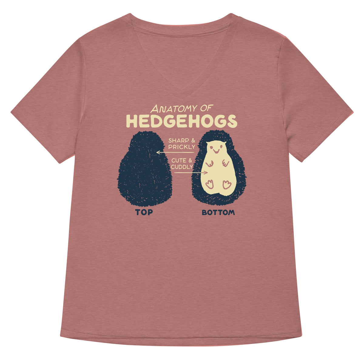Anatomy Of Hedgehogs Women's V-Neck Tee product image 2