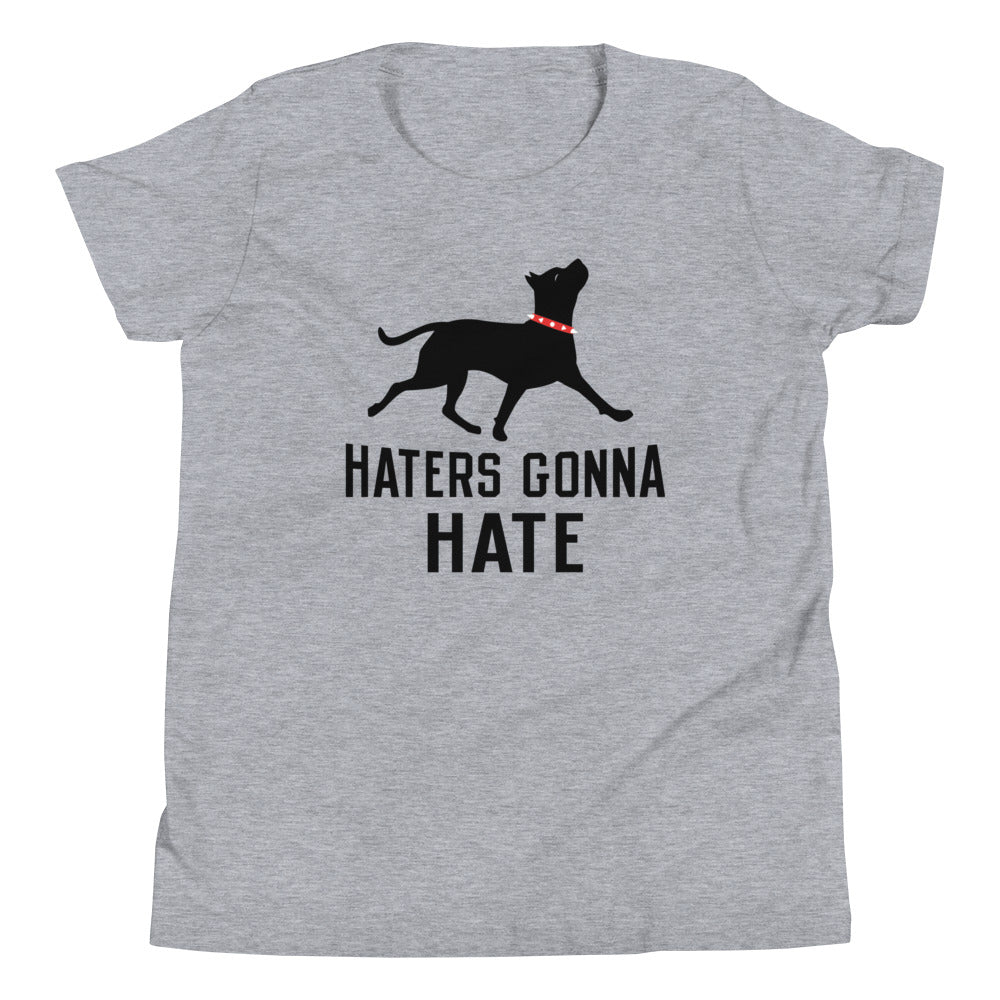 Haters Gonna Hate Pit Kid's Youth Tee product image 1