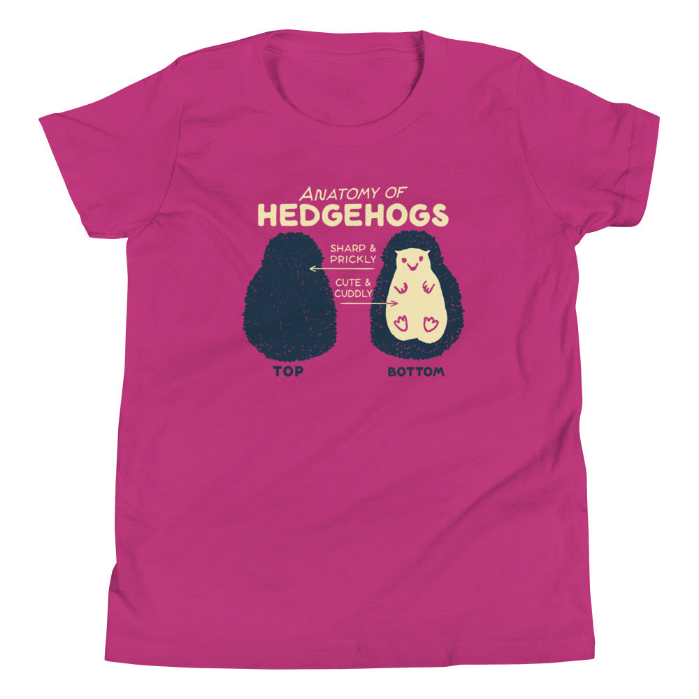 Anatomy Of Hedgehogs Kid's Youth Tee product image 2