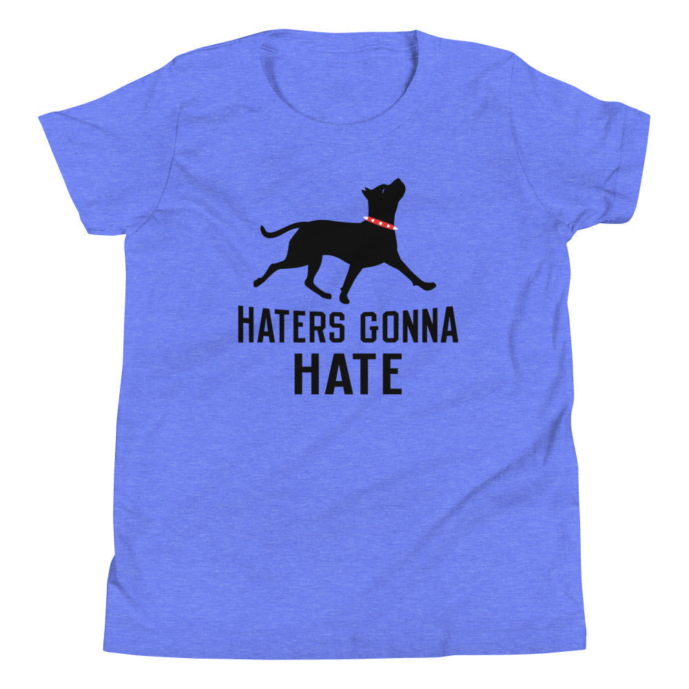 Haters Gonna Hate Pit Kid's Youth Tee product image 3