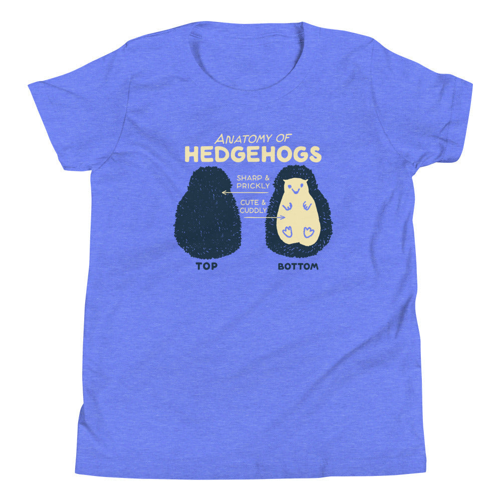 Anatomy Of Hedgehogs Kid's Youth Tee product image 4