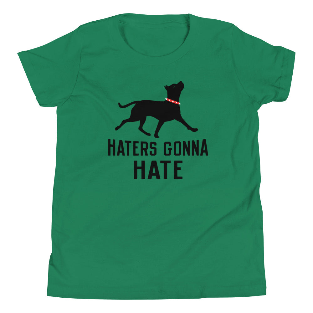 Haters Gonna Hate Pit Kid's Youth Tee product image 2