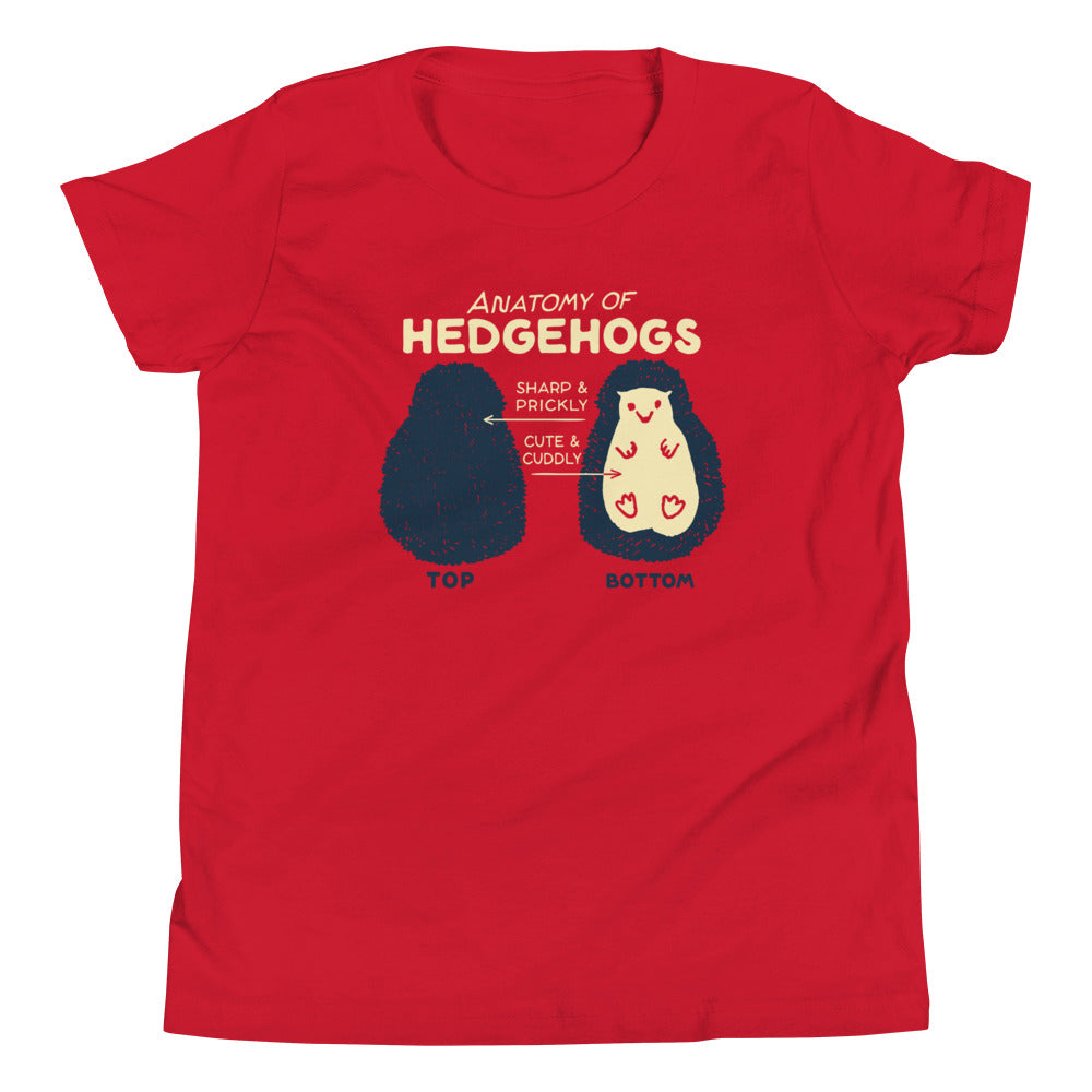 Anatomy Of Hedgehogs Kid's Youth Tee product image 1
