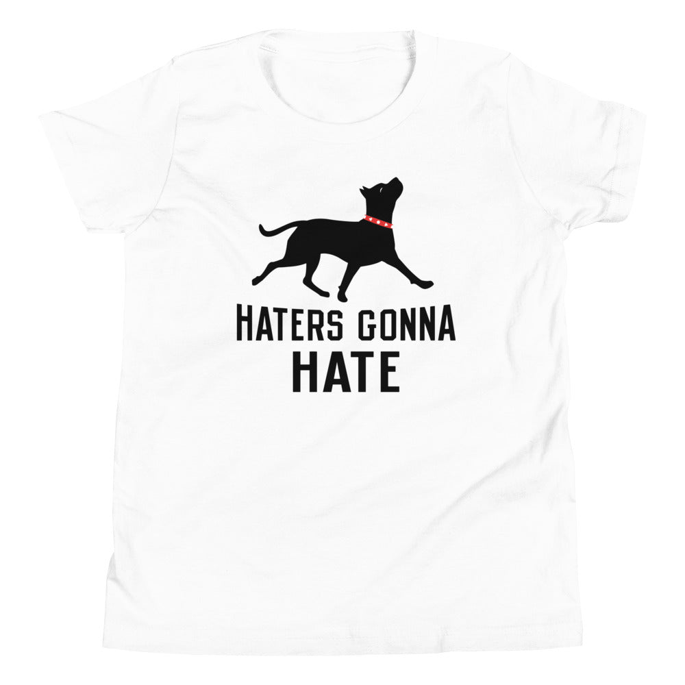 Haters Gonna Hate Pit Kid's Youth Tee product image 4